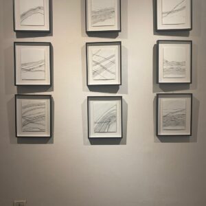 8d185e85-df3c-4288-a147-dae243fe0436