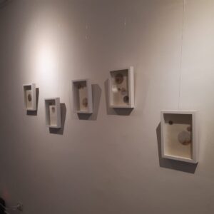 cc8c207d-65e3-4f19-9292-ca20460b47e7